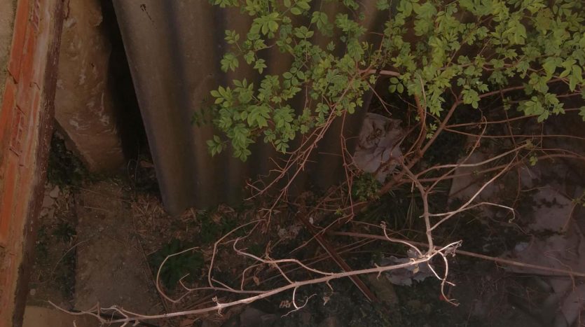 Fachada exterior casa en Albeta en venta