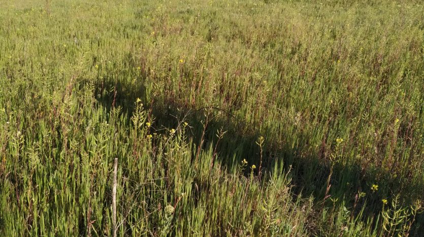 Otra vista de la finca en alfaro