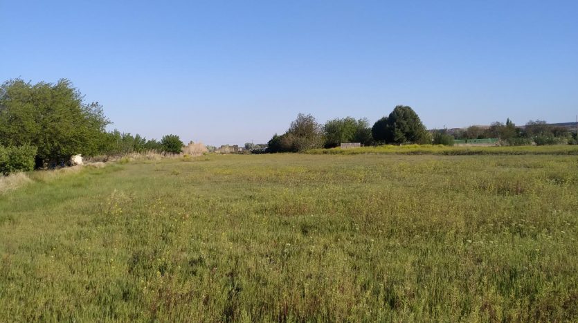 vista del terreno de la finca