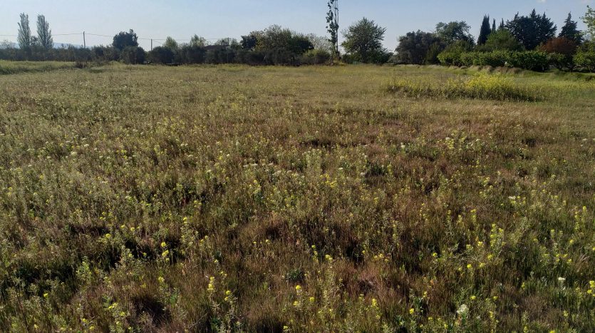 Amplitud de la finca en venta en Alfaro