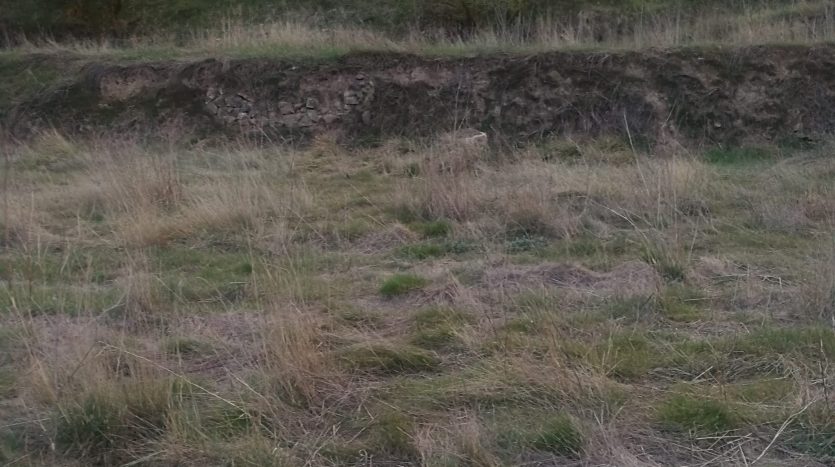 Vista del terreno en venta