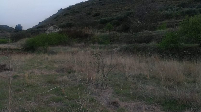 Vista del terreno en Alhama