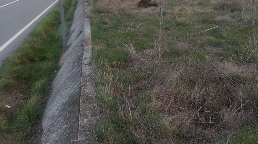 Terreno junto a carretera